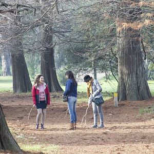 Foto Minha Amiga do Parque