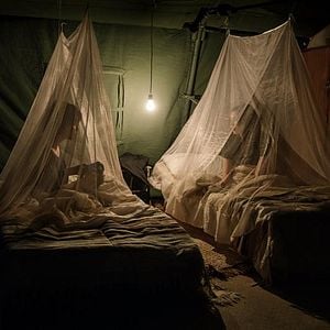 Foto Mil Vezes Boa Noite