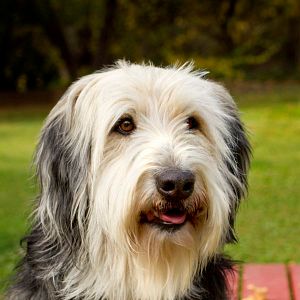 Foto Família Por Acaso