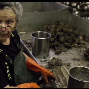 Foto The Great Invisible