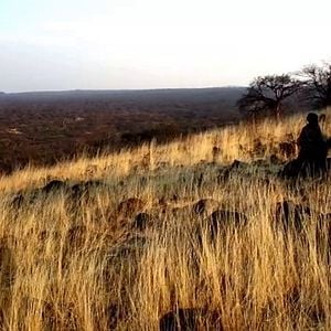 Foto The Hadza: Last of the First