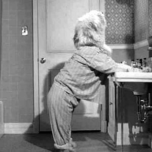 Foto Felpudo, O Cão Feiticeiro