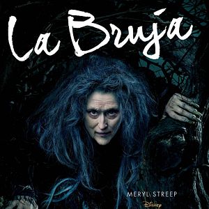 Foto Caminhos Da Floresta