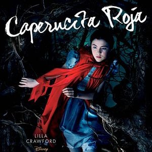 Foto Caminhos Da Floresta