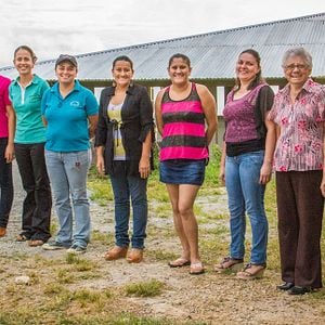 Foto A Small Section of the World