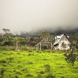 Foto A Small Section of the World