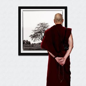 Foto Monk with a Camera