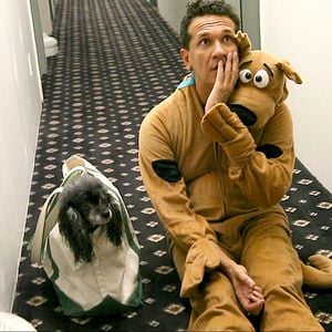 Foto Gazelle - The Love Issue