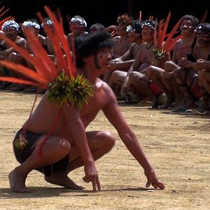 Foto Urihi Haromatipë – Curadores da Terra-Floresta