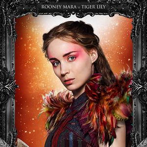 Foto Peter Pan - Viagem à Terra do Nunca