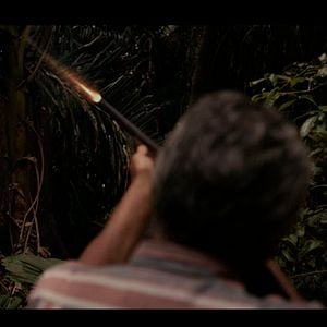 Foto Terra Sobre a Língua