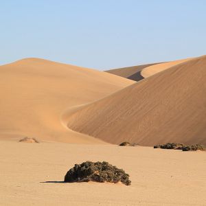 Foto Safári na África