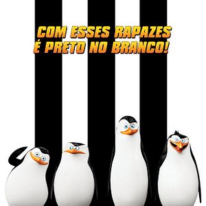 Foto Os Pinguins de Madagascar