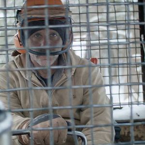 Foto Bob and the Trees