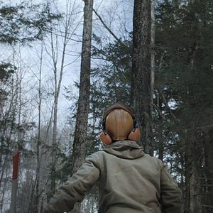 Foto Bob and the Trees