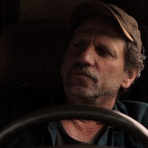 Foto Bob and the Trees