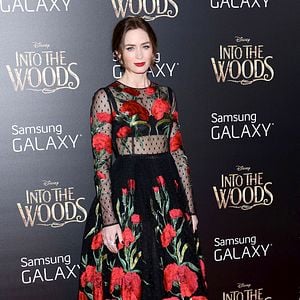 Foto Caminhos Da Floresta