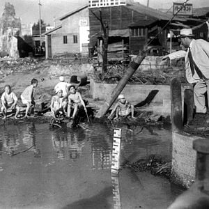 Foto O Anjo Embriagado