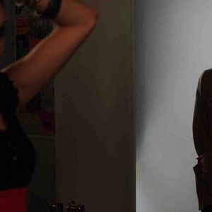 Foto Pássaro Branco na Nevasca