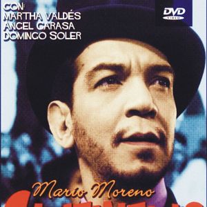 Foto Cavalheiro Sob Medida