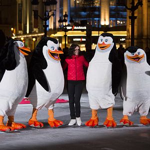 Foto Os Pinguins de Madagascar