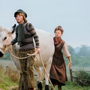 Foto Caminhos Da Floresta