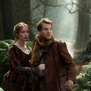 Foto Caminhos Da Floresta