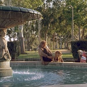 Foto Um Vagabundo na Alta Roda