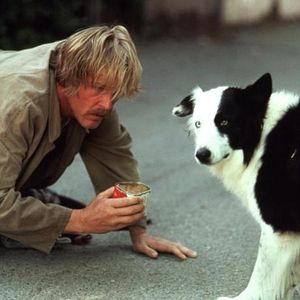 Foto Um Vagabundo na Alta Roda