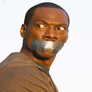 Foto As Mil Palavras