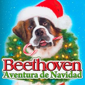 Foto Beethoven: Aventura de Natal