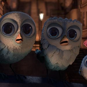 Foto O Passarinho Amarelo