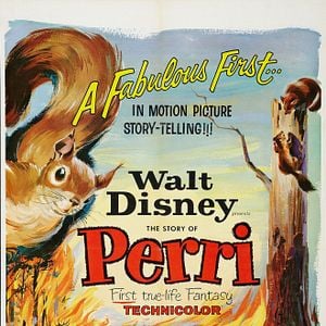 Foto No Coração da Floresta