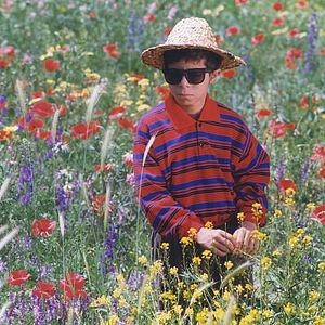 Foto Cor do Paraíso