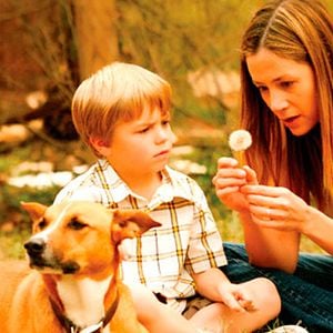 Foto De Coração Partido