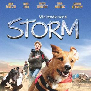 Foto Meu Amigo Storm