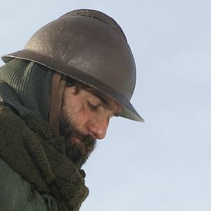 Foto Os Campos Voltarão