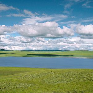 Foto Espírito de Lobo