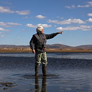 Foto Espírito de Lobo