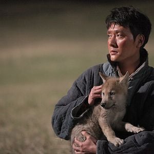 Foto Espírito de Lobo