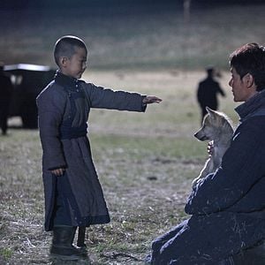 Foto Espírito de Lobo