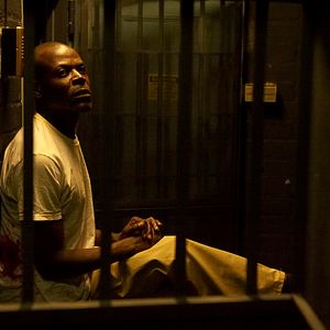 Foto When the Cobra Strikes