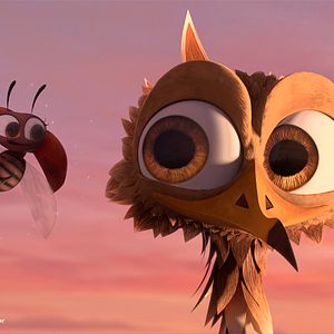 Foto O Passarinho Amarelo