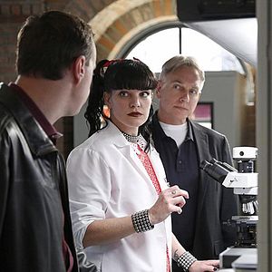 Foto Pauley Perrette