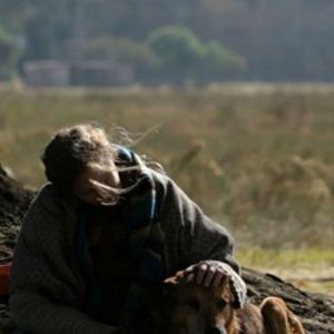 Foto A Mulher dos Cachorros