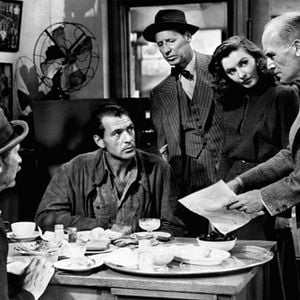 Foto Adorável Vagabundo