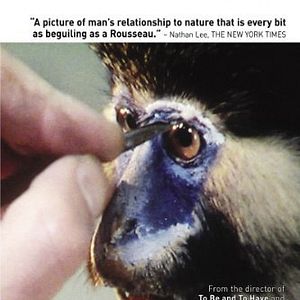 Foto Um animal, os animais