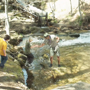 Foto Lição de Vida