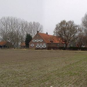 Foto Confetti Harvest