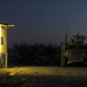 Foto Tell Spring Not to Come This Year